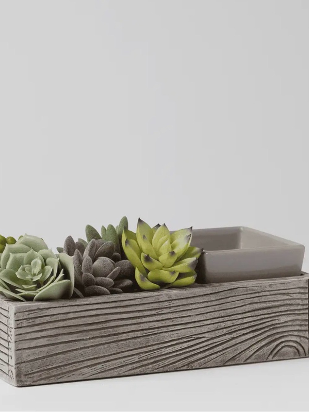 Scentsy Succulent Warmer